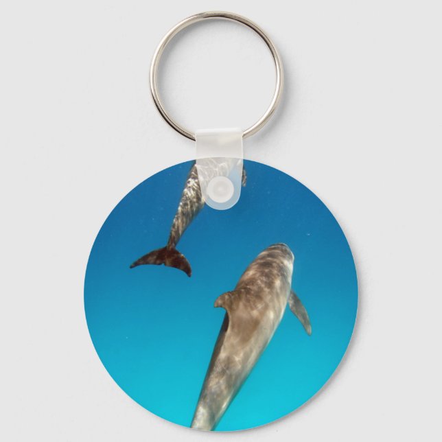 Porte-clés snorkeling avec dauphins (Recto)