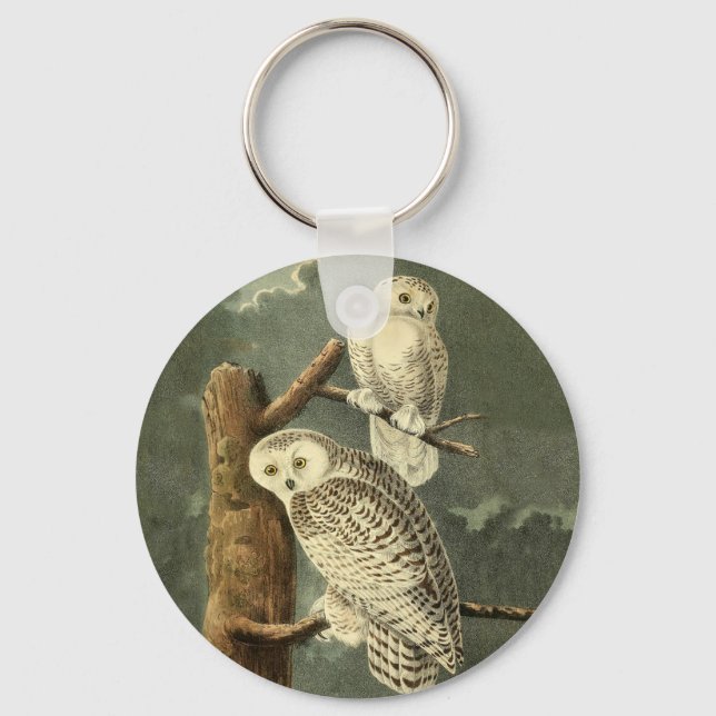 Porte-clés Snowy Owl Audubon Bird Artwork (Recto)