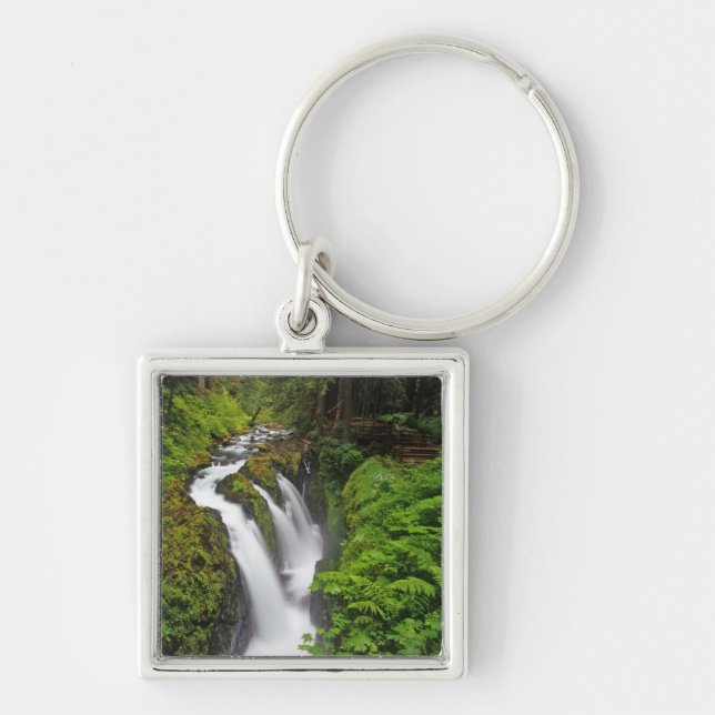Porte-clés Sol Duc Falls dans le Parc national Olympique en (Devant)