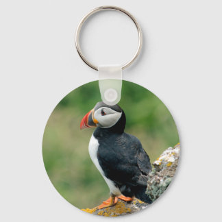 Porte-clés Solo Puffin