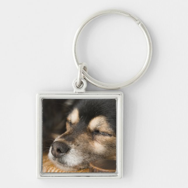 Porte-clés Sommeil 2 de chien (Devant)