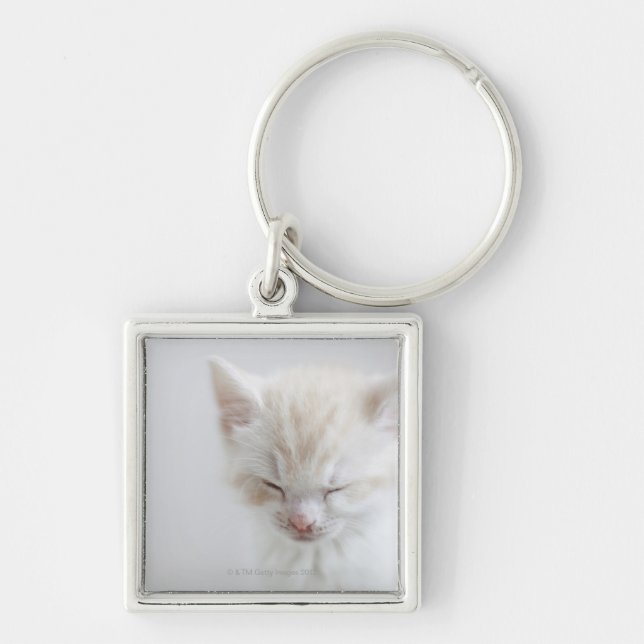 Porte-clés Sommeil blanc de chaton (Devant)