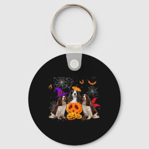Porte-clés Sorcier Citrouille Drôle Chien Springer Spaniel An