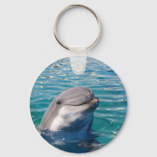 Porte-clés Sourire dauphin