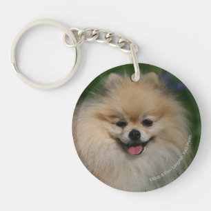 Porte-clés Sourire de Pomeranian