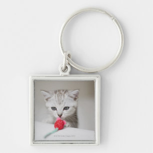 Porte-clés Souris sentante de jouet de chaton britannique de