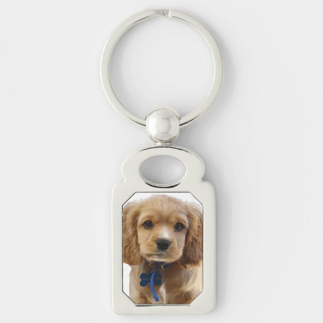 Porte-clés Spaniel cocker (Devant)
