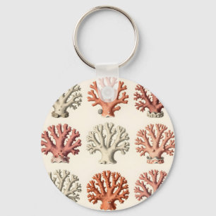 Porte-clés Spécimens de corail vintage botanique marine