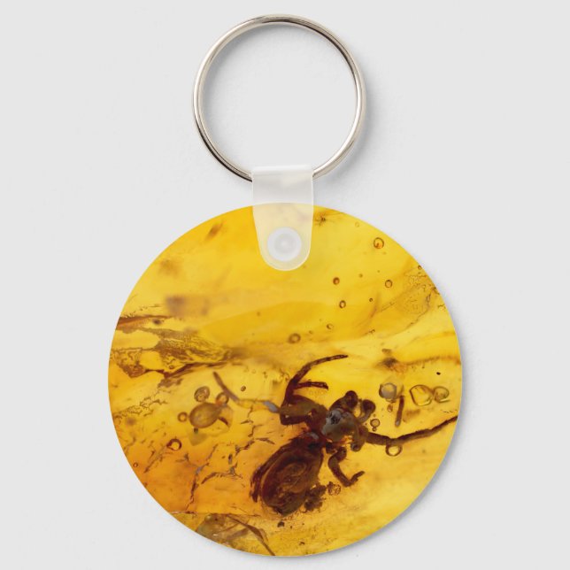 Porte-clés Spider inside baltic amber stone (Recto)