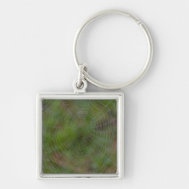 Porte-clés Spiderweb avec Droplets (Devant)