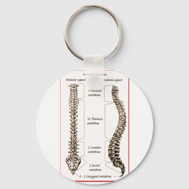 Porte-clés Spine Details Sepia2 (Recto)