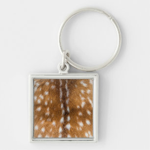 Porte-clés Spotted deer pour texture