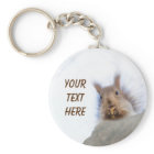 Squirrel with a walnut