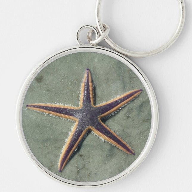 Porte-clés Starfish Purple sea star on beach (Devant)