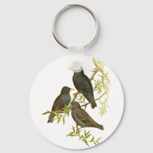 Porte-clés Starling européen