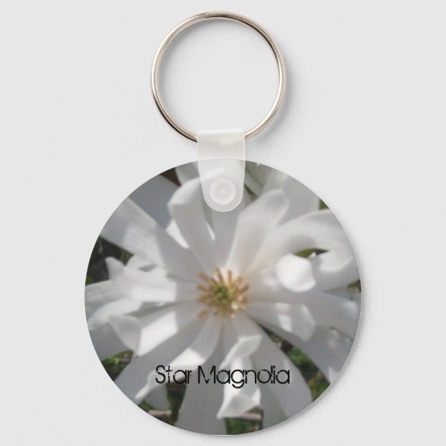 Porte-clés starmagbolia, Star Magnolia (Recto)