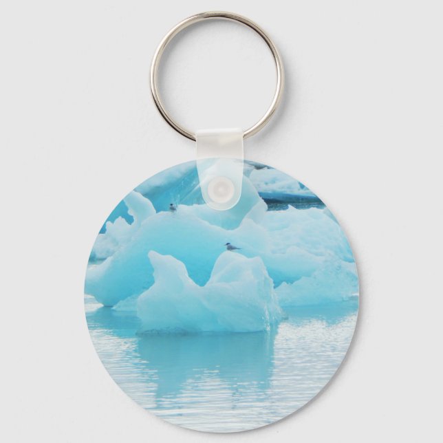 Porte-clés sternes de Jökulsárlón (Recto)
