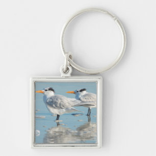Porte-clés Sternes royaux sur la plage