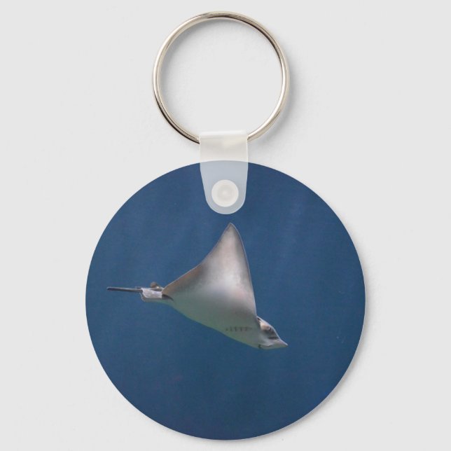 Porte-clés Stingray (Recto)