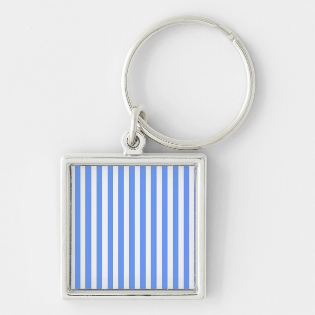 Porte-clés Stripes bleues (Devant)