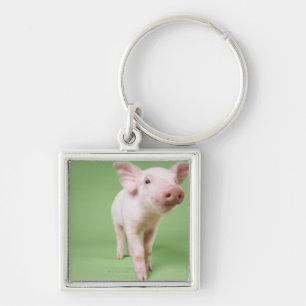 Porte-clés Studio coupé d'une position de porcelet