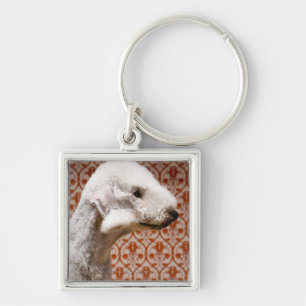 Porte-clés Studio tiré de Bedlington Terrier