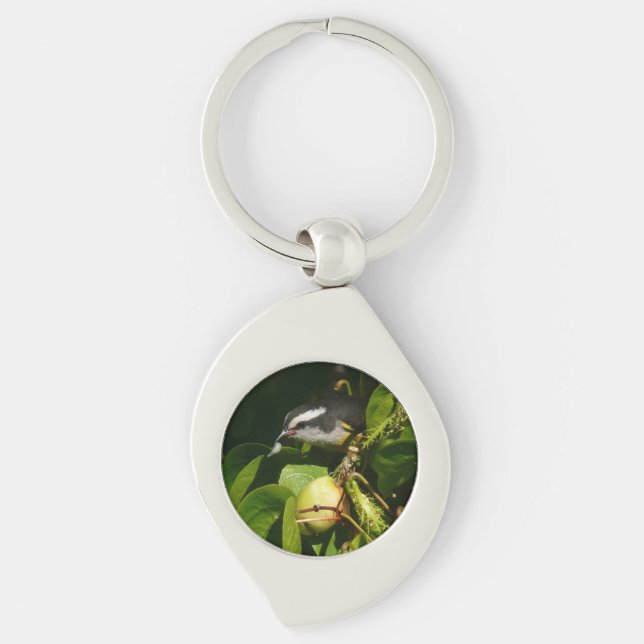 Porte-clés Sucrier à bec courbe mangeant photographie tropica (Devant)