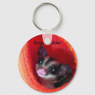 Porte-clés Sugar Glider in Orange Hanging Bed