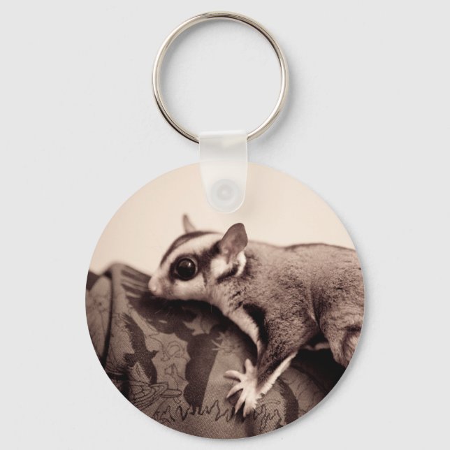Porte-clés Sugar Glider keychain (Recto)