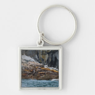 Porte-clés Suivant En Ligne