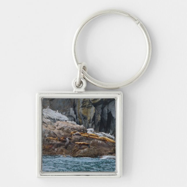 Porte-clés Suivant En Ligne (Devant)