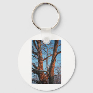 Porte-clés Sunrise Sycamore