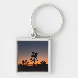 Porte-clés Sunset Joshua