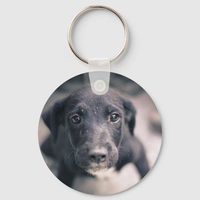 Porte-clés Super mignon Chien Chien Chien (Recto)