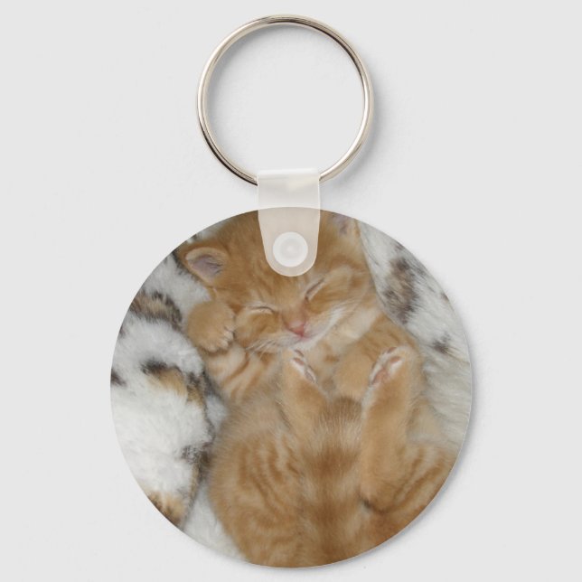 Porte-clés Super mignon Ginger Sleeping Kitten (Recto)