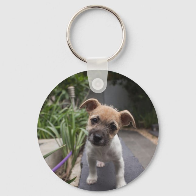 Porte-clés Super mignonne chiot Terrier à la frontière (Recto)