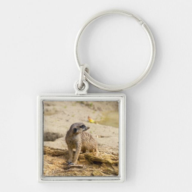 Porte-clés Suricate (Devant)