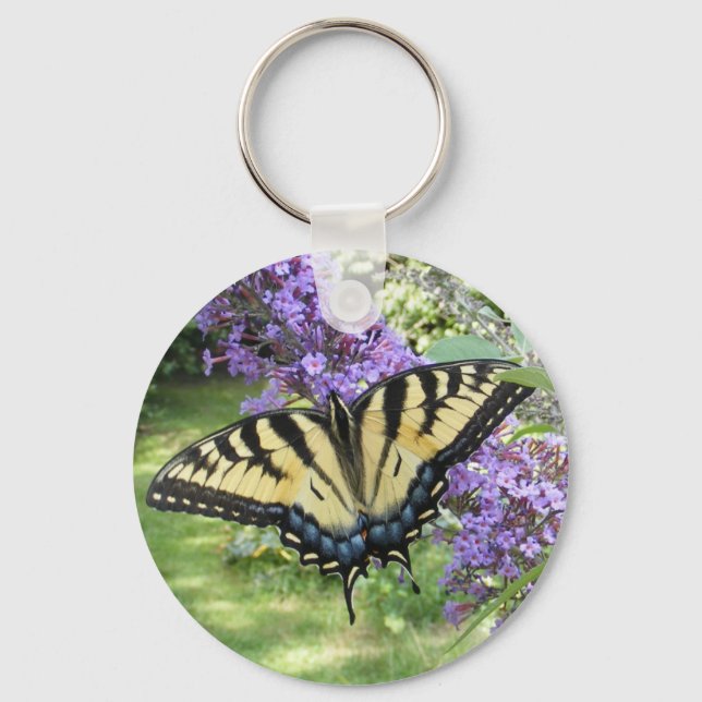 Porte-clés Swallowtail 94 ~ porte - clé (Recto)