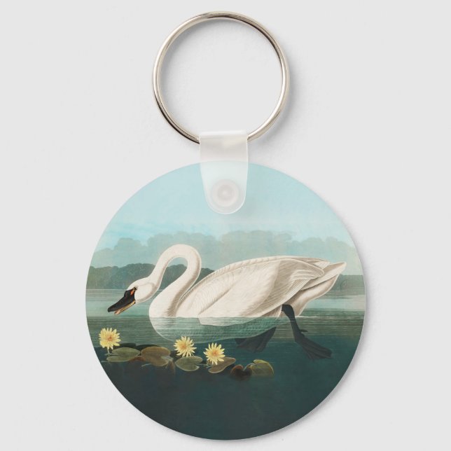 Porte-clés swan audubon bird white water swans (Recto)