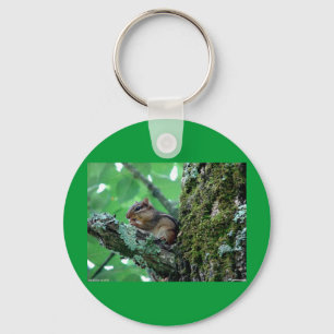 Porte-clés Sweet Chipmunk dans un arbre Vêtements et cadeaux