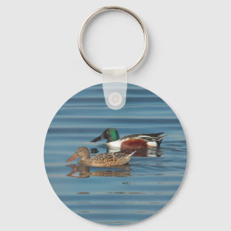 Porte-clés Swimming Northern Shovelers Keychain
