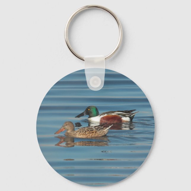 Porte-clés Swimming Northern Shovelers Keychain (Recto)