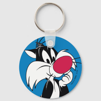 Porte-clés Sylvester Jr. | Pose classique