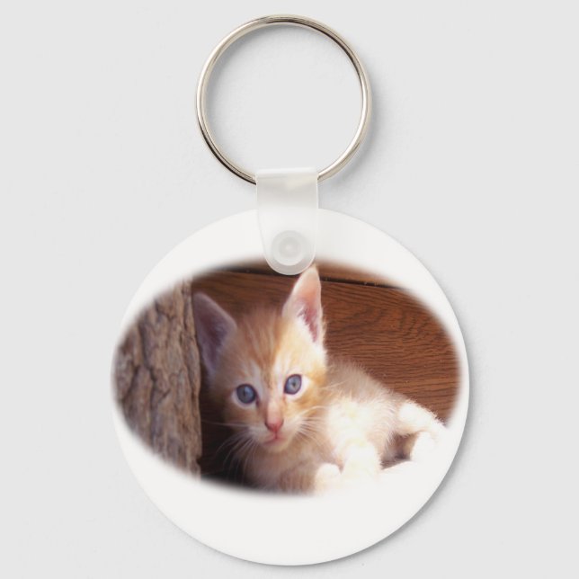 Porte-clés T-shirts Kitten et super mix (Recto)