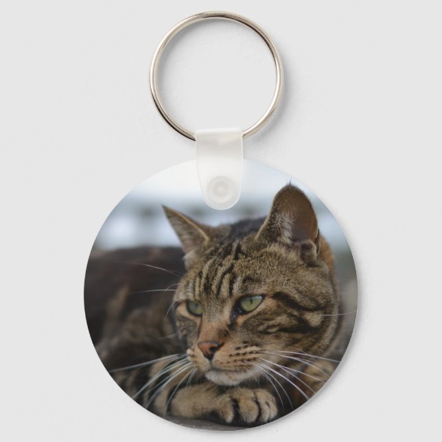 Porte-clés Tabby cat prêt à l'action (Recto)