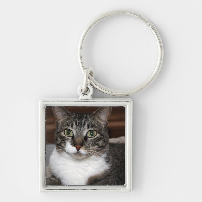 Porte-clés Tabby Cat vous regarde - Discontinuée par moi (Devant)