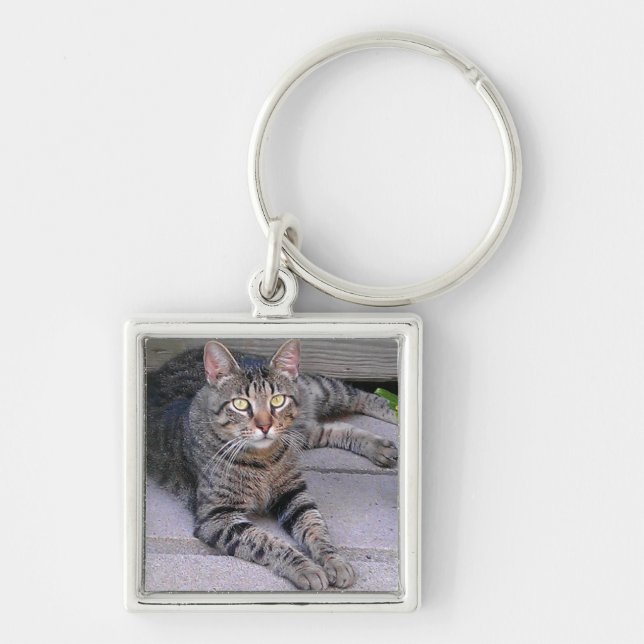 Porte-clés Tabby Chat Brown à l'extérieur (Devant)