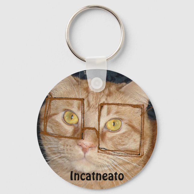 Porte-clés Tabby Orange Chat/Humour Incognito (Recto)