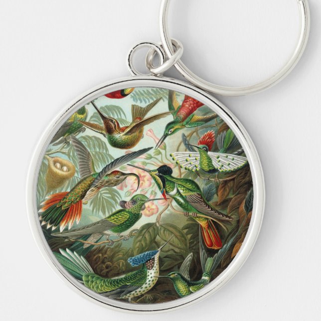 Porte-clés tableau classique de la faune des oiseaux colibris (Devant)