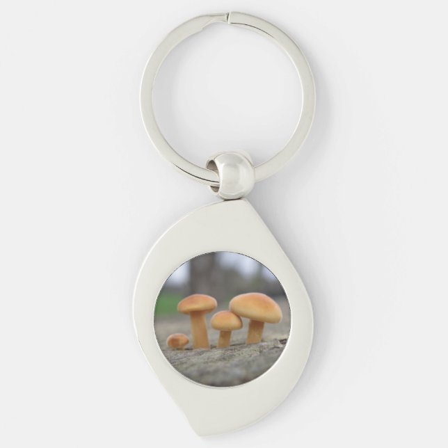 Porte-clés Tabourets Toadstools Porte - clé (Devant)